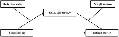 Unraveling the role of social support in eating behavior among children and adolescents in Shanghai, China: exploring the mediating role of self-efficacy and the moderating influence of BMI and weight concern